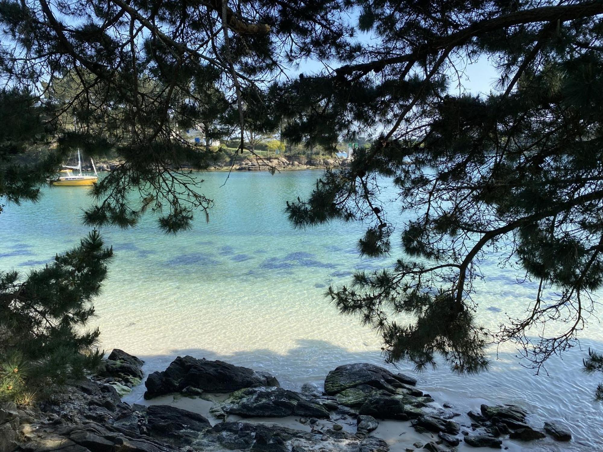 -austral- Beau T3 A 200 M Des Plages Apartment Concarneau